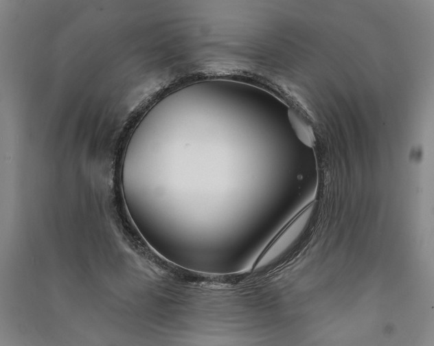X0000090950539200708161758