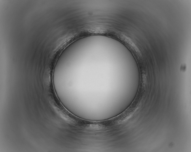X0000090950541200708161758