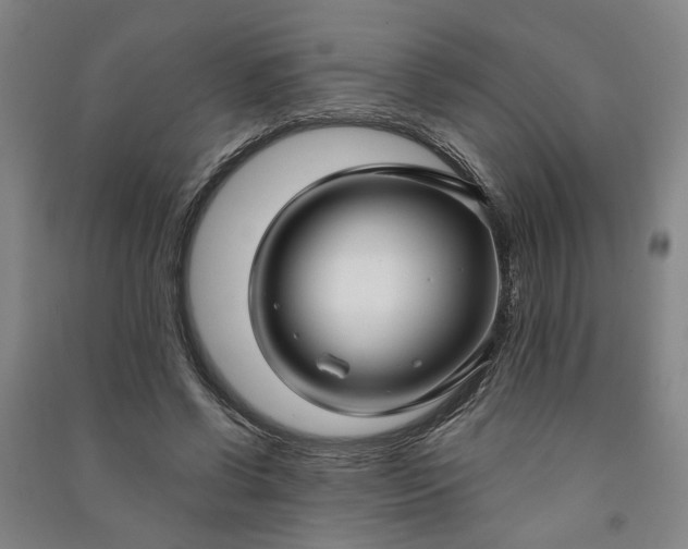 X0000090950542200708161758