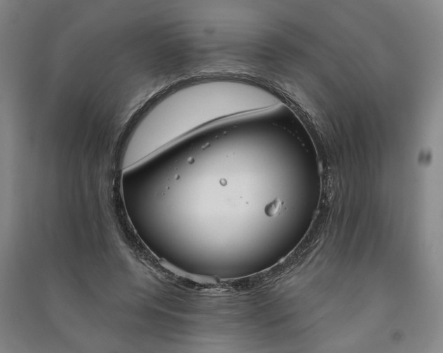 X0000090950544200708161758