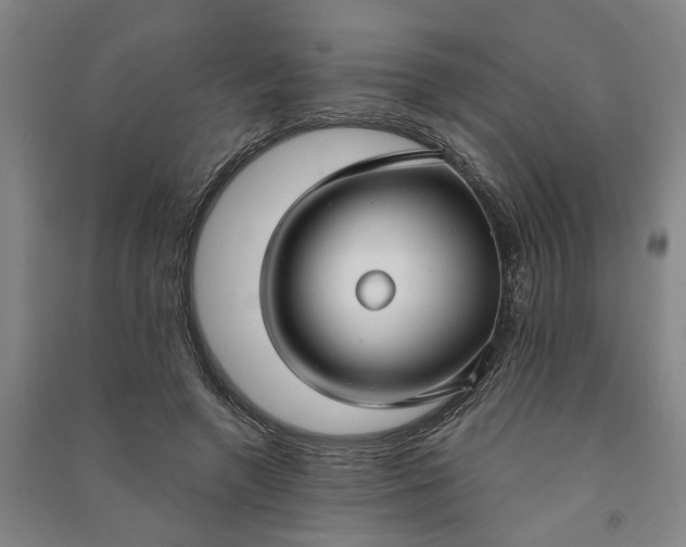 X0000090950546200708161758
