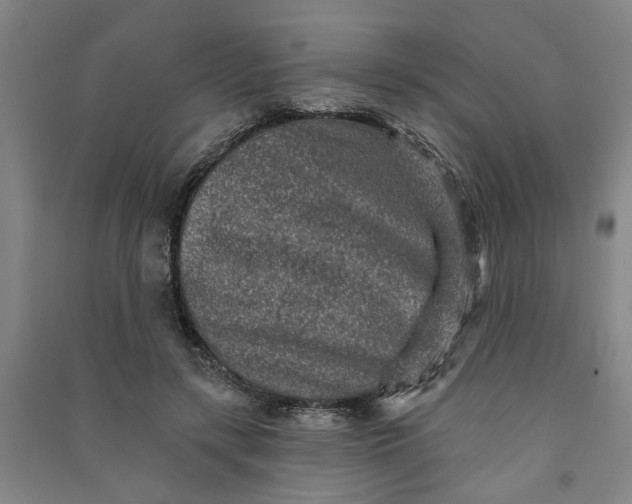 X0000090950547200708161758