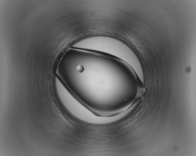 X0000090950548200708161758