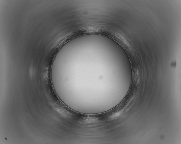 X0000090950549200708161758