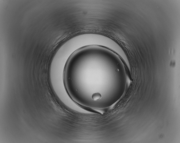 X0000090950550200708161758