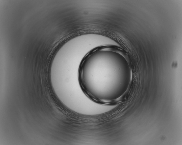 X0000090950552200708161758