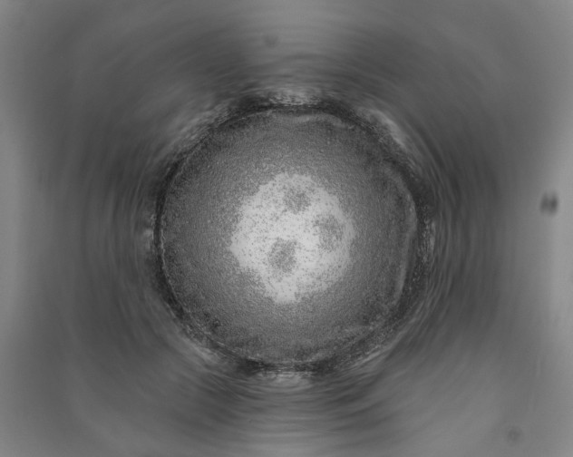 X0000090950553200708161758