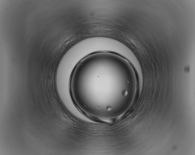 X0000090950554200708161758