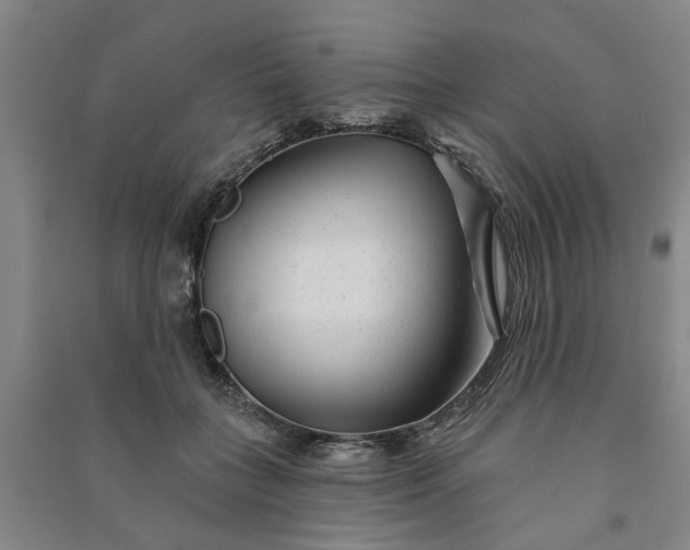 X0000090950555200708161758