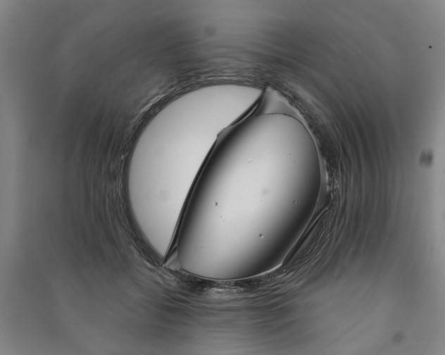 X0000090950556200708161758