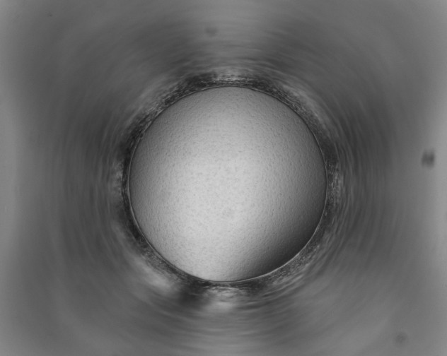 X0000090950557200708161758