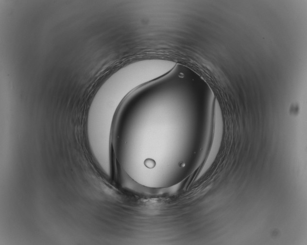 X0000090950558200708161758