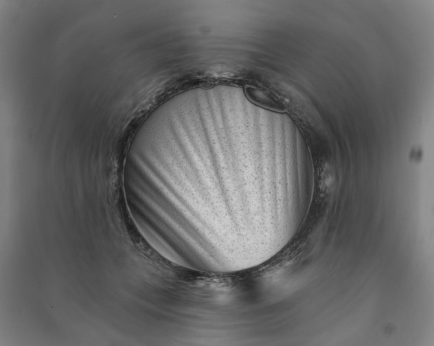 X0000090950559200708161758