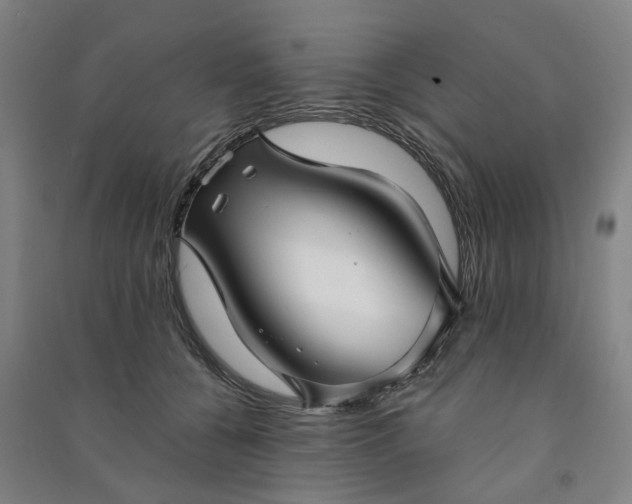 X0000090950560200708161758
