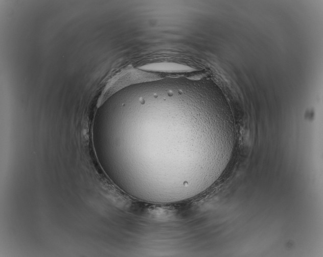 X0000090950561200708161758