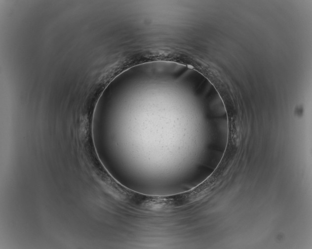 X0000090950563200708161758