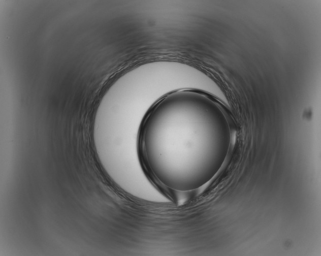 X0000090950564200708161758