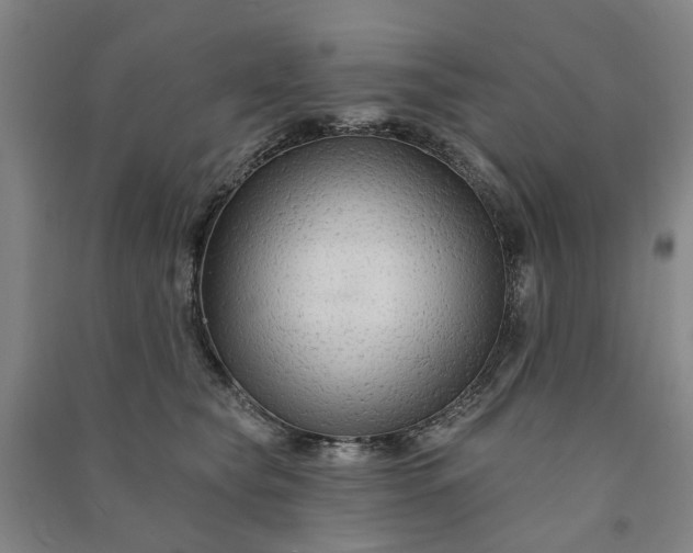 X0000090950565200708161758