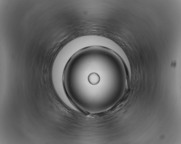 X0000090950566200708161758