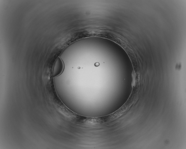 X0000090950567200708161758