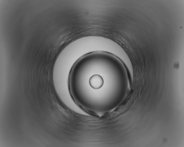 X0000090950568200708161758