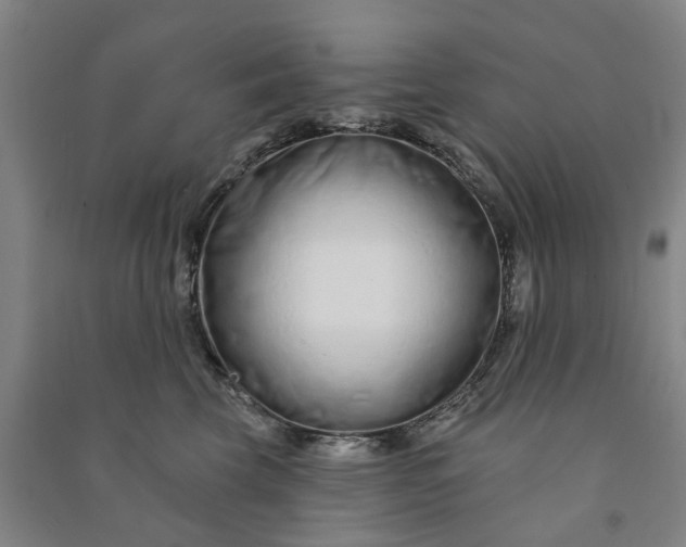 X0000090950569200708161758