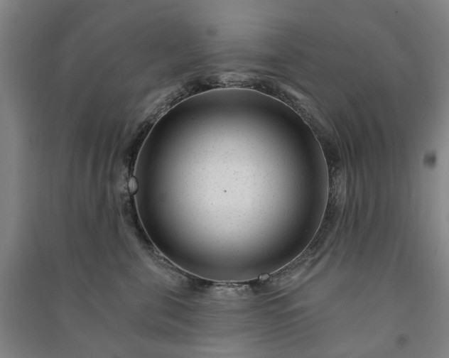 X0000090950571200708161758