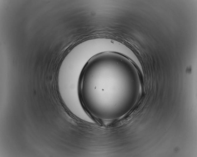 X0000090950572200708161758