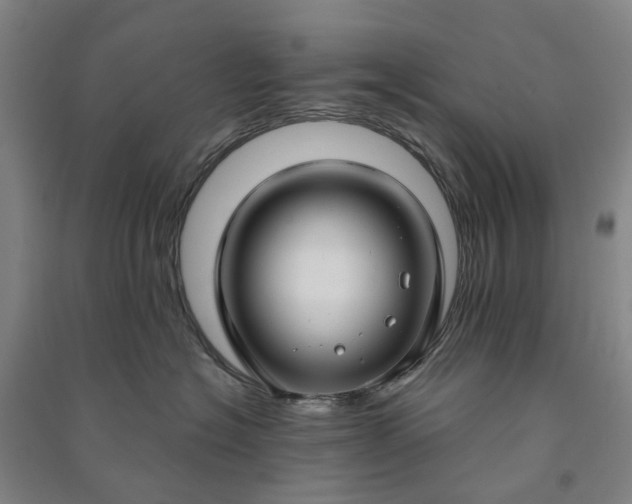 X0000090950574200708161758