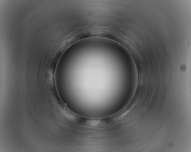 X0000090950575200708161758