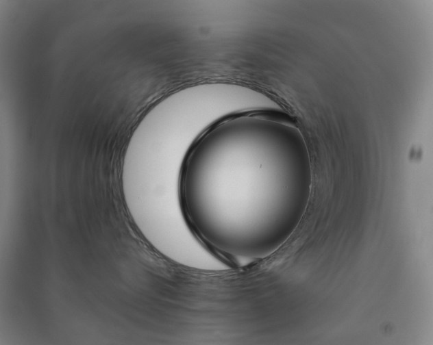 X0000090950576200708161758