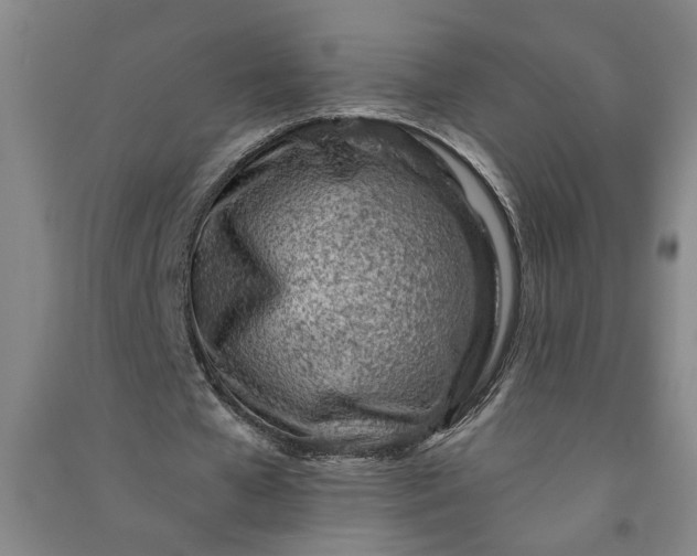 X0000090950577200708161758