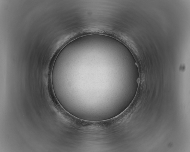 X0000090950578200708161758