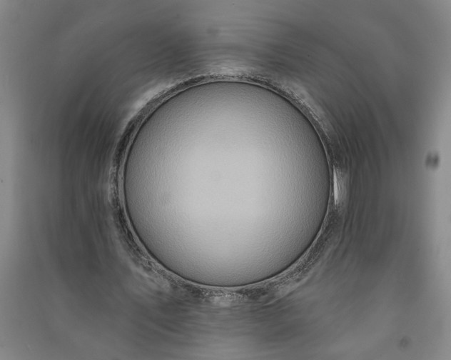X0000090950579200708161758