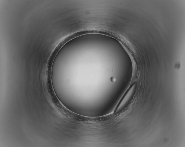 X0000090950580200708161758