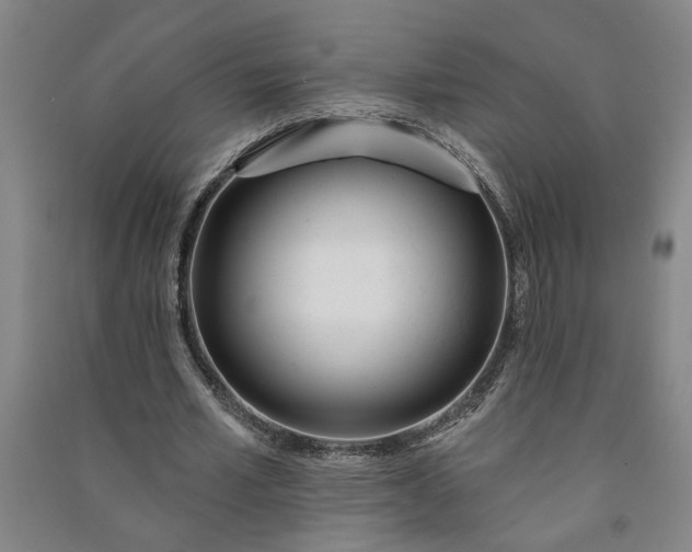 X0000090950581200708161758