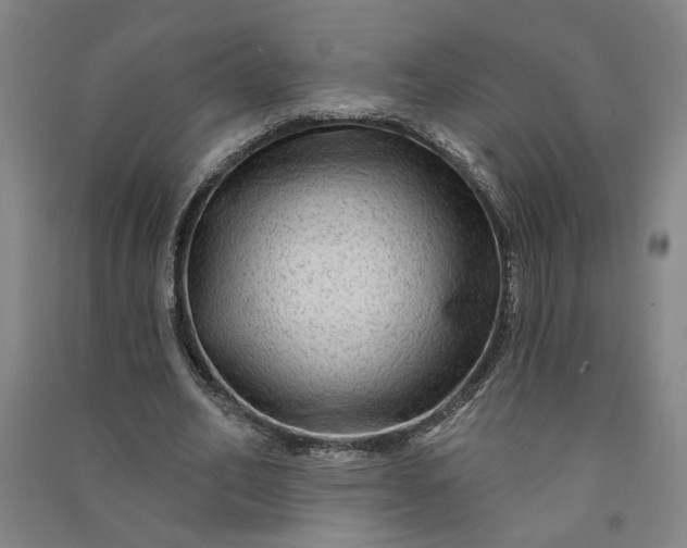 X0000090950582200708161758