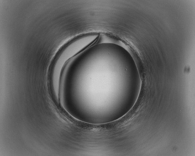 X0000090950584200708161757