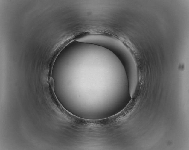 X0000090950585200708161757
