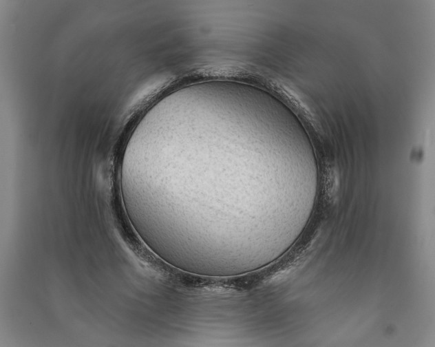 X0000090950586200708161757