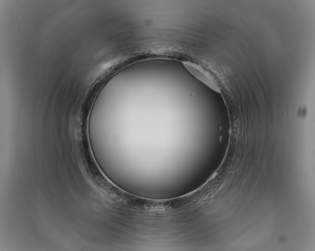 X0000090950587200708161757