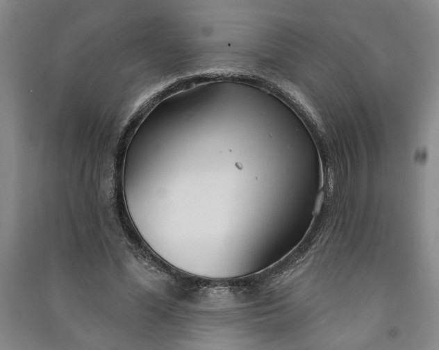 X0000090950588200708161757