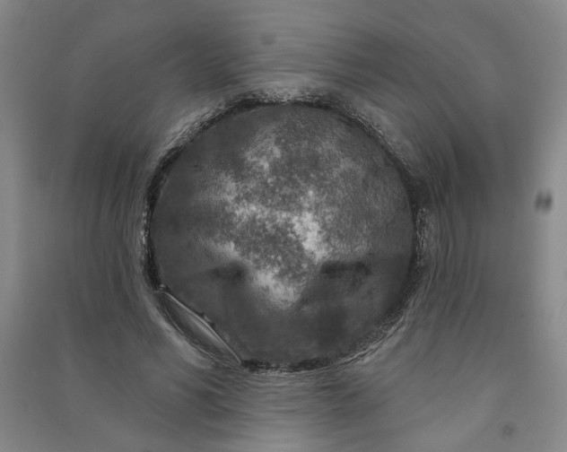 X0000090950590200708161757
