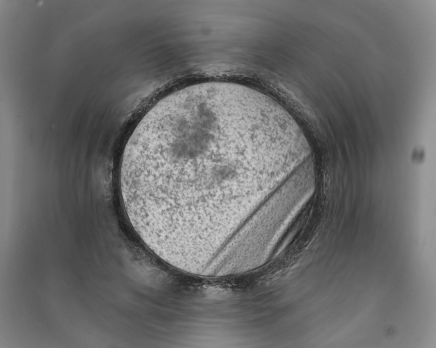 X0000090950592200708161757