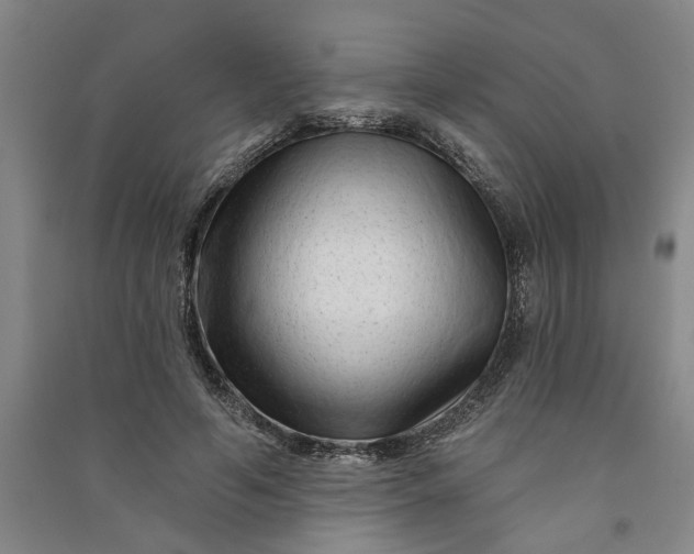 X0000090950594200708161757
