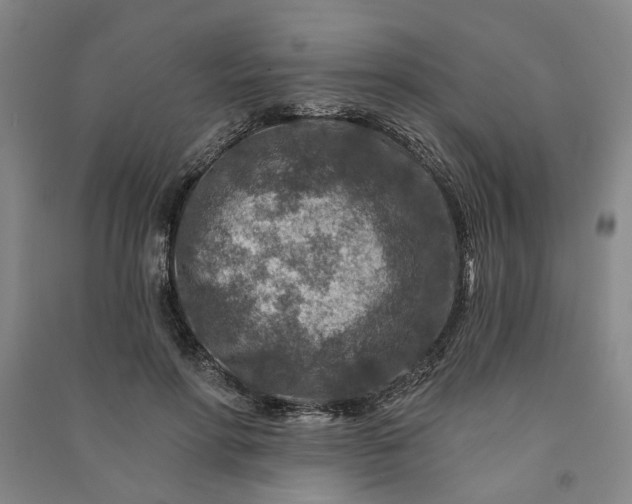 X0000090950598200708161757