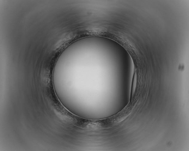 X0000090950599200708161757