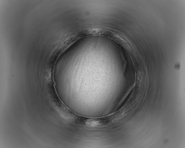 X0000090950602200708161757