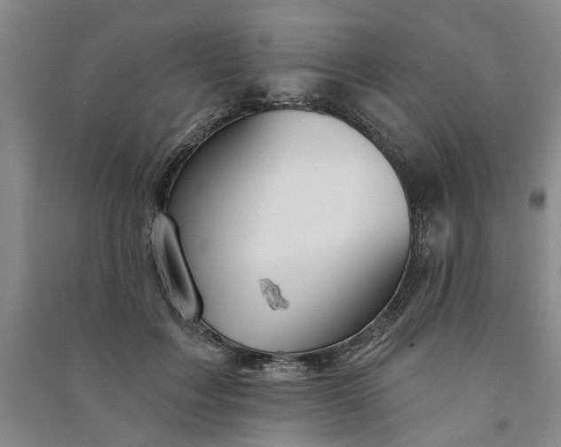 X0000090950603200708161757