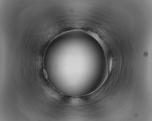 X0000090950605200708161757